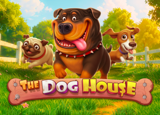 The Dog House - DEMO MBS